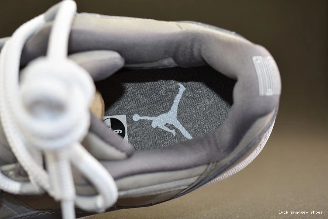 Rep LUCY Air Cool Low 528895-003 Jordan Grey 11 0712